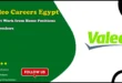 Valeo Careers Egypt